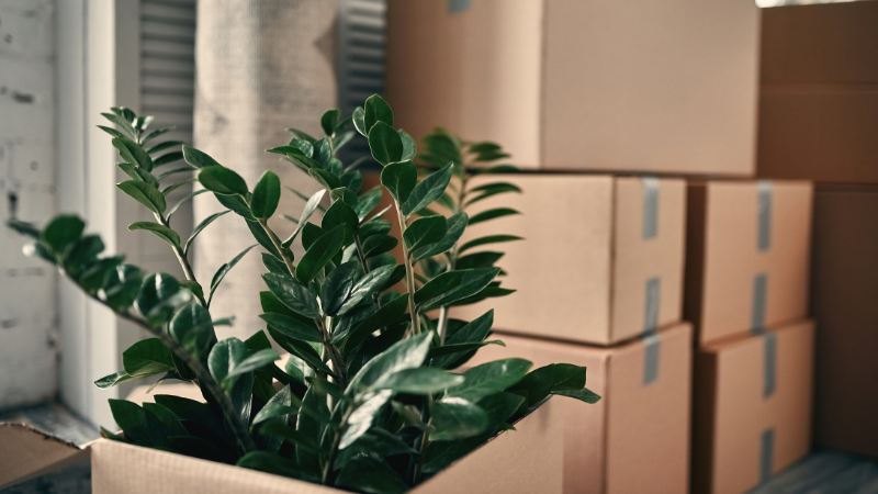 Relocating? What Not to Pack in the Moving Truck | RedKey Realty Leaders